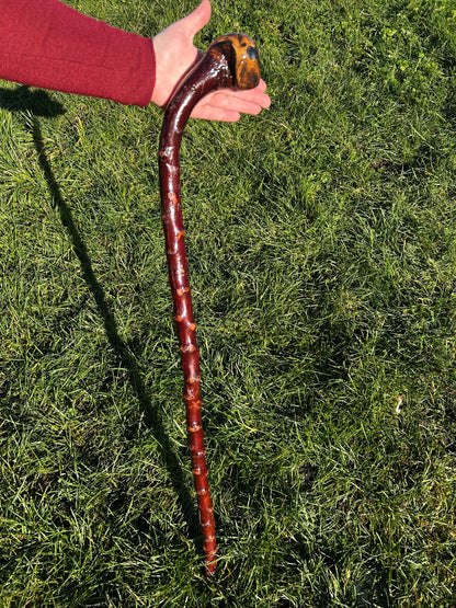 Blackthorn Curved Knob Shillelagh - 90 cm / 35 inches