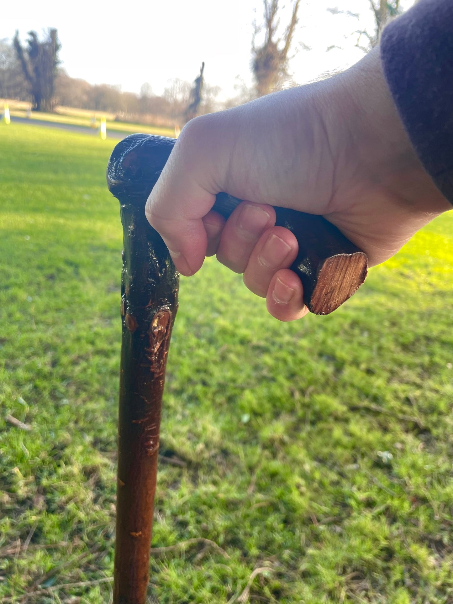 Bumpy Blackthorn walking stick with L Handle