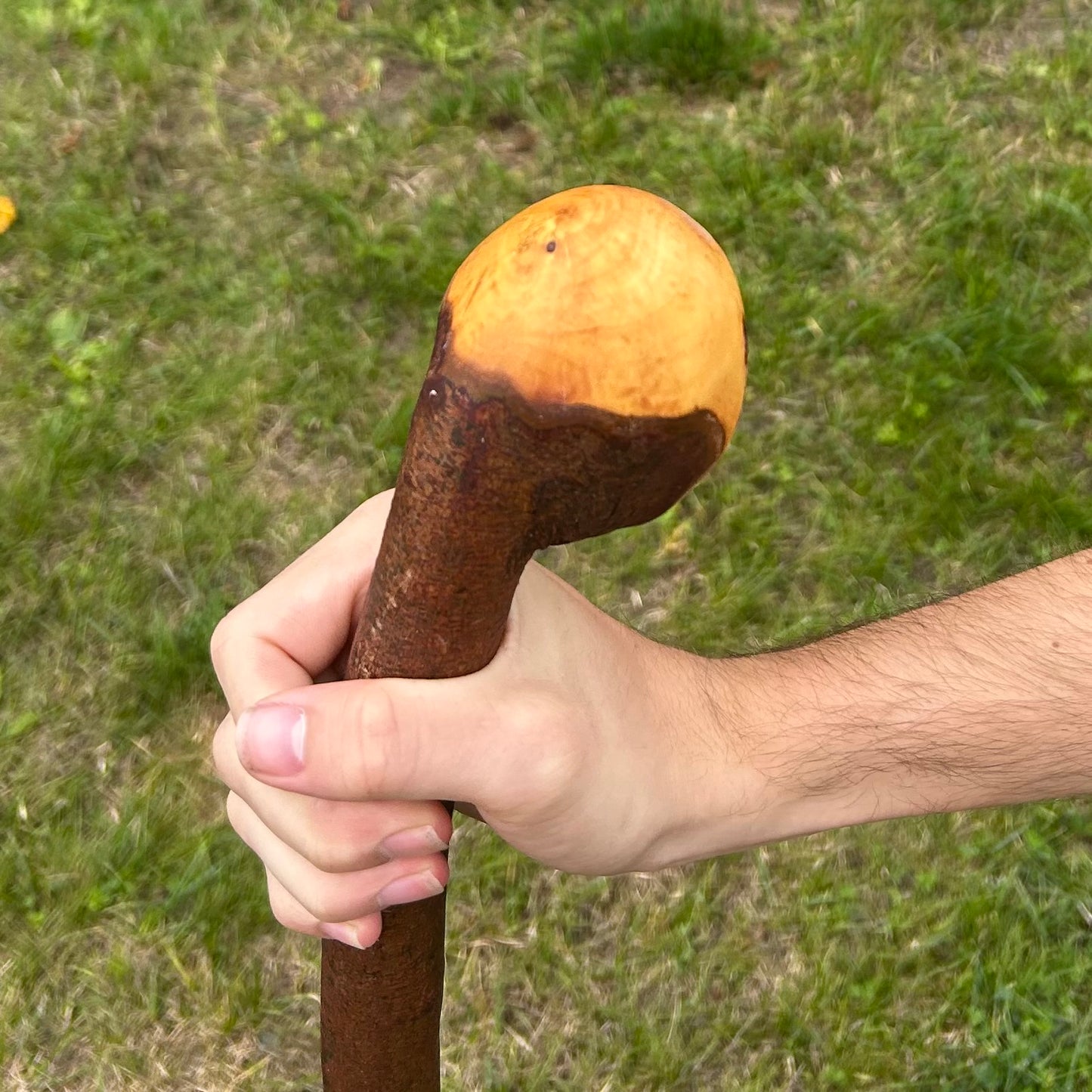 Round Knob Blackthorn Shillelagh – 103 cm (40.6”)