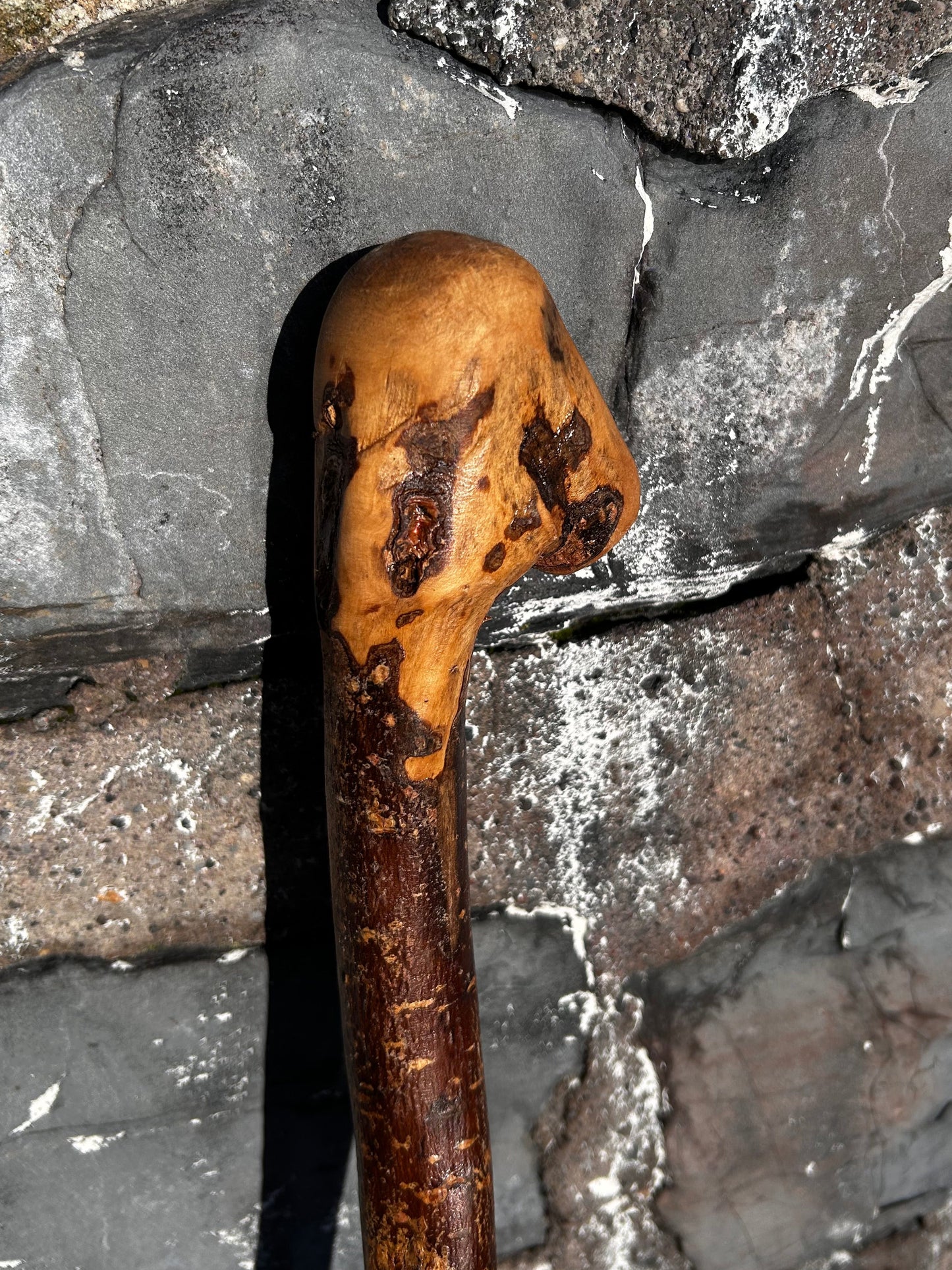 Hazel Knob Walking Stick – 106 cm / 42 inches