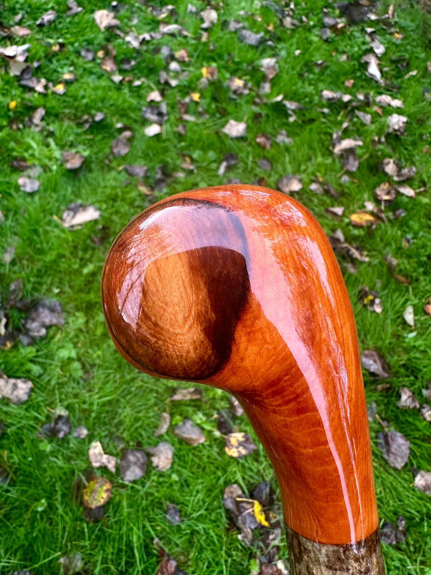 Hazel Walking Stick with Spalted Yew Head – 39”