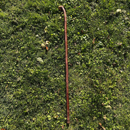 Mature Blackthorn Shillelagh Medium Knob Stick – 101 cm (39.8”)