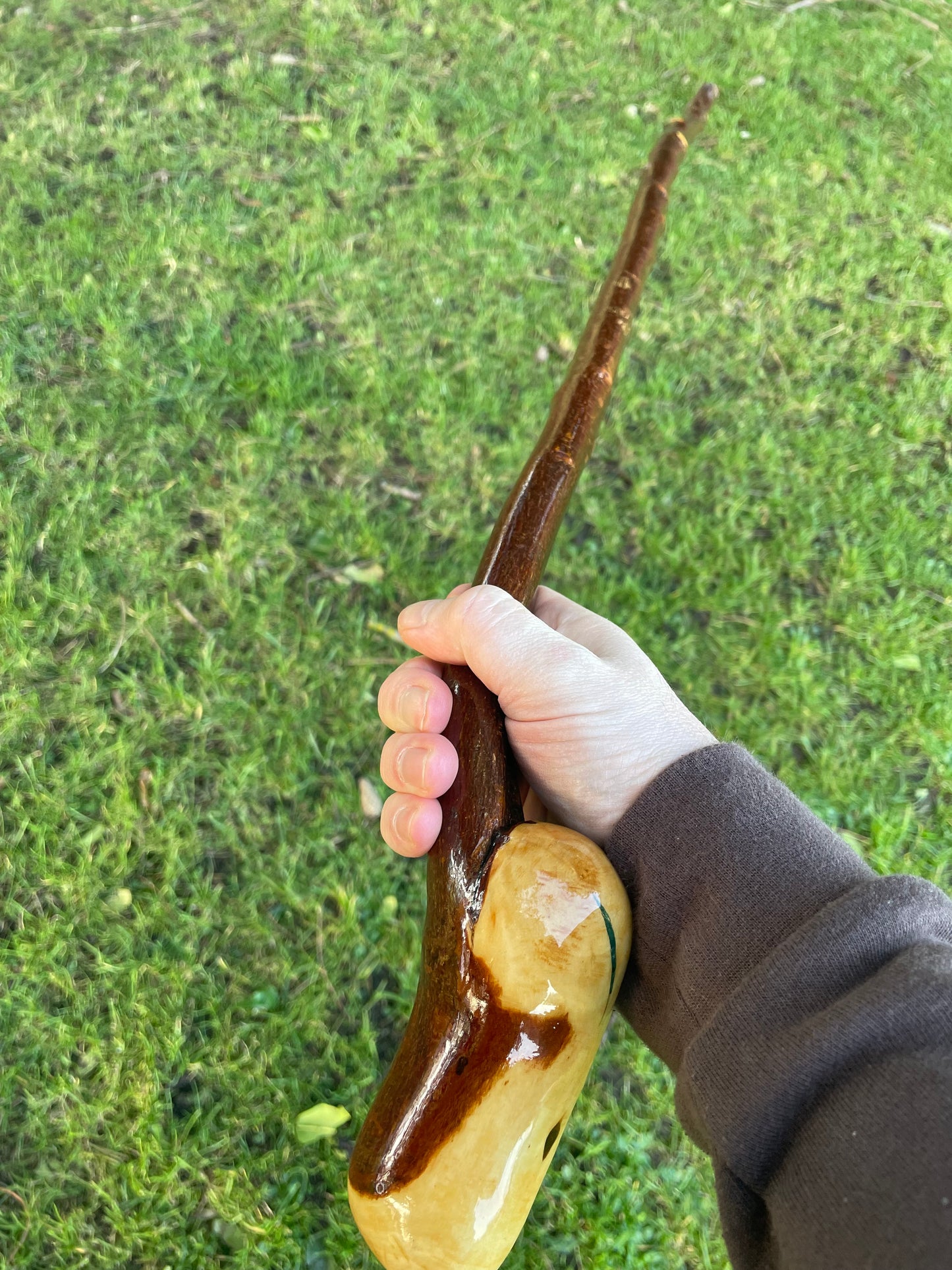 Blackthorn walking stick with rounded Handle