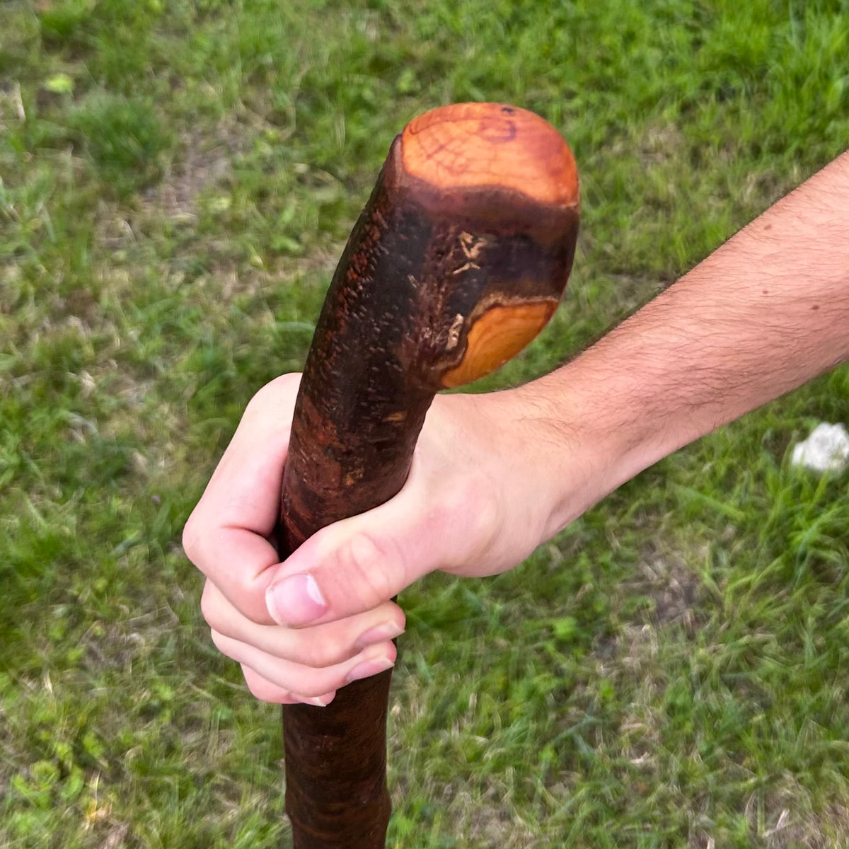 Mature Blackthorn Shillelagh with Knob Handle – 103 cm (40.6”)