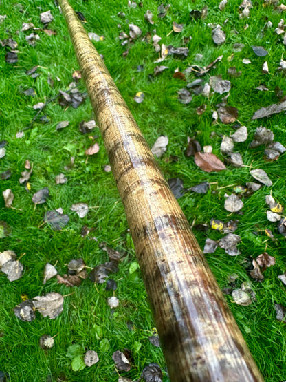 Mottled Hazel Walking Stick with Yew Head – 40”
