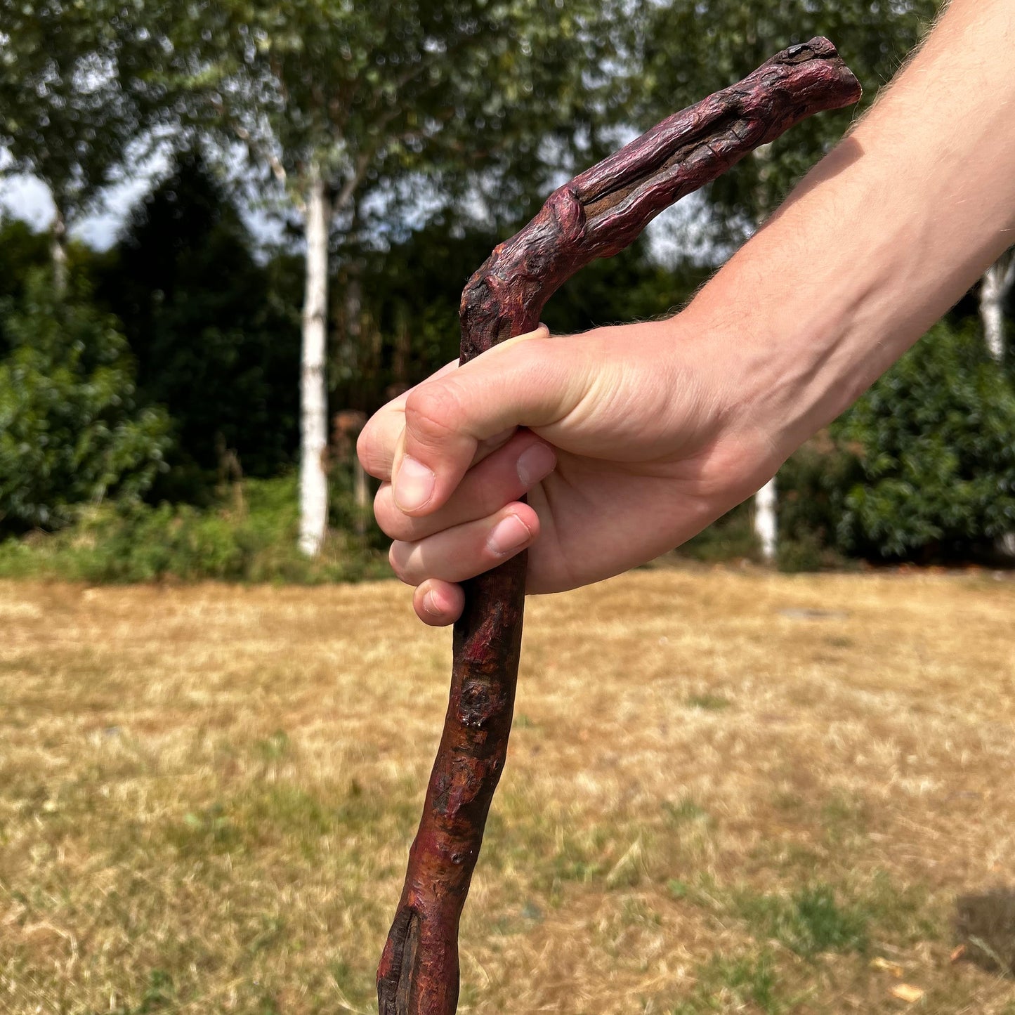 Blackthorn Shillelagh Humpy L Handle – 92.5 cm (36.4”)