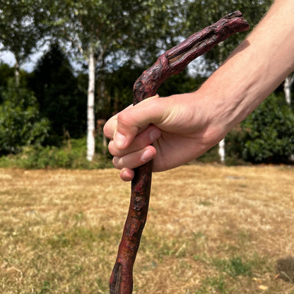 Blackthorn Shillelagh Humpy L Handle – 92.5 cm (36.4”)