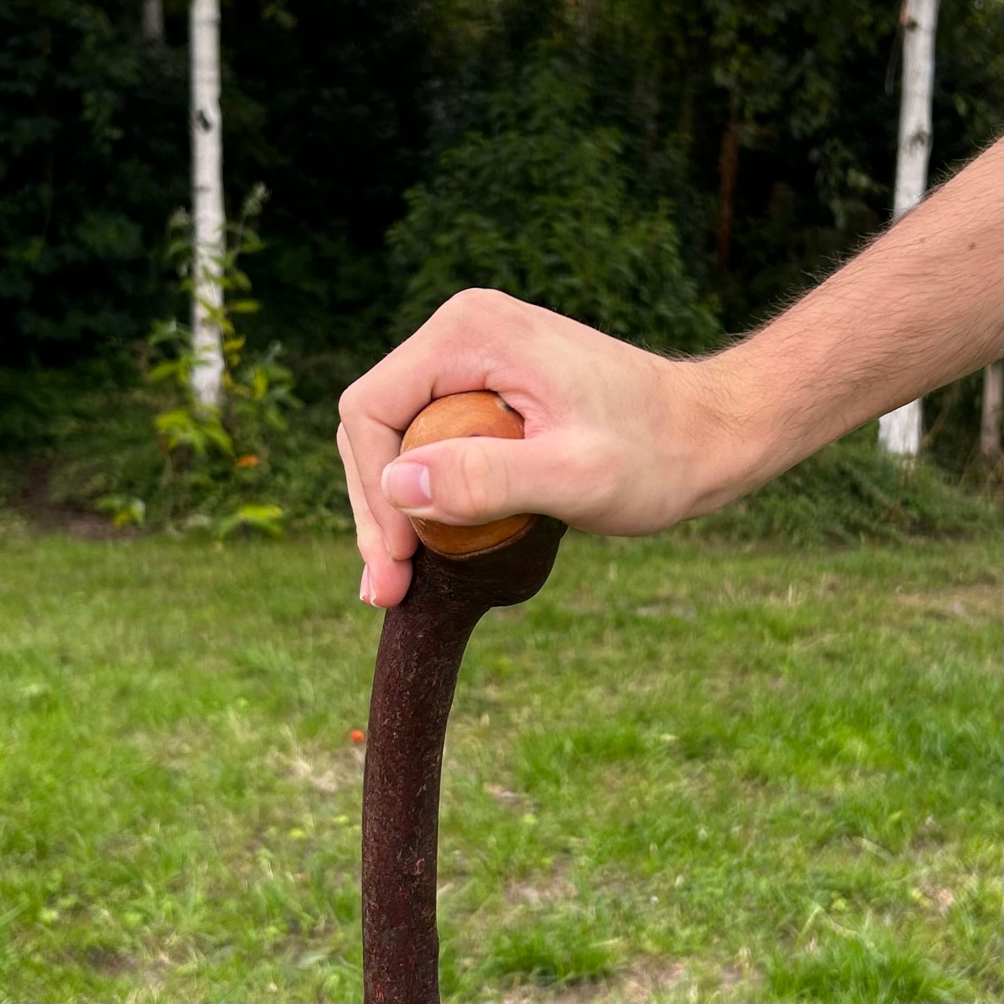 T-Shaped Handle Blackthorn Shillelagh – 97 cm (38.2”)