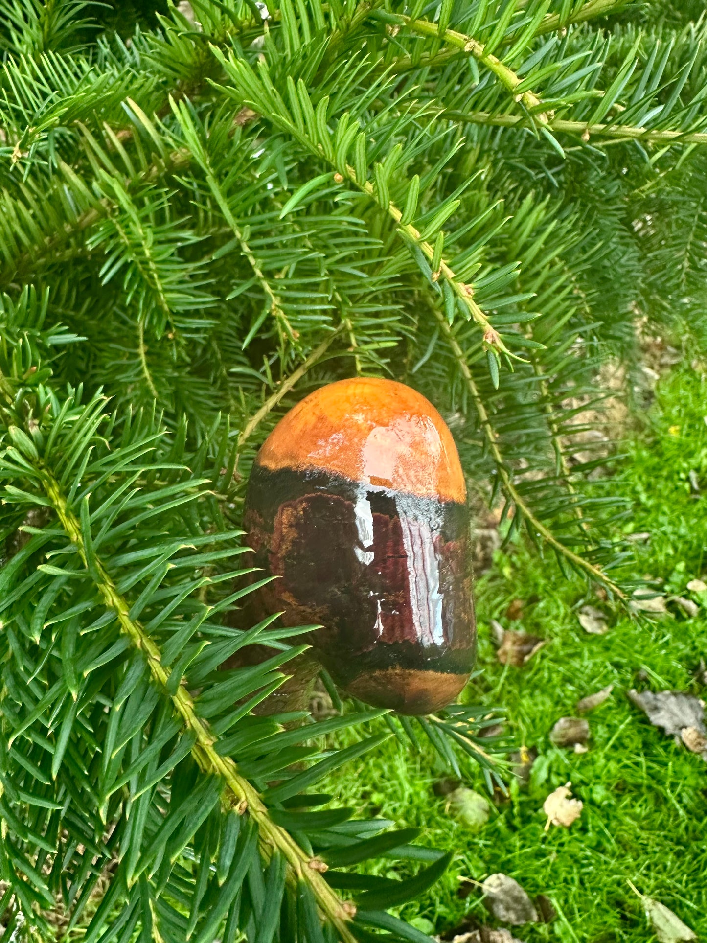 Irish Blackthorn Walking Stick – 40”