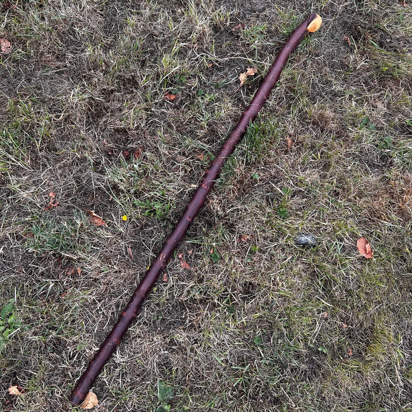 Traditional Blackthorn Shillelagh Small Knob Stick – 100.5 cm (39.6”)