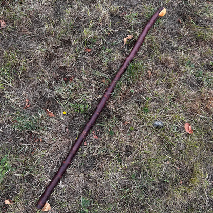 Traditional Blackthorn Shillelagh Small Knob Stick – 100.5 cm (39.6”)