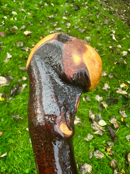 Irish Blackthorn Walking Stick with Knuckles – 40”