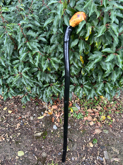 Black-Painted Whitethorn Walking Stick with Round Head – 95 cm