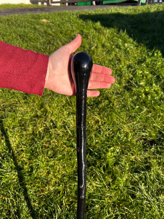 Two-Piece Black-Painted Hazel Stick with Spalted Beech Knob - 99 cm / 39 inches