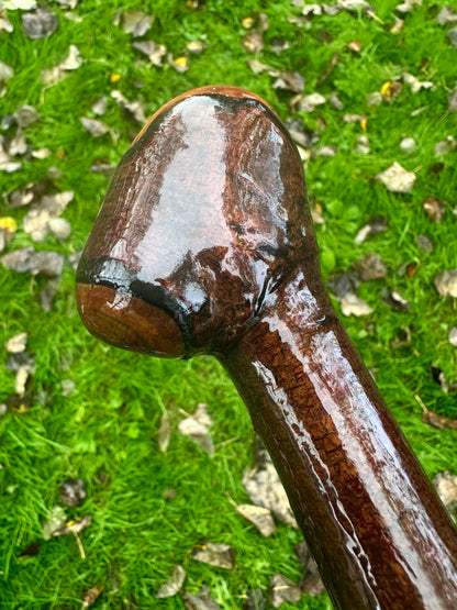 Irish Blackthorn Walking Stick – 40”