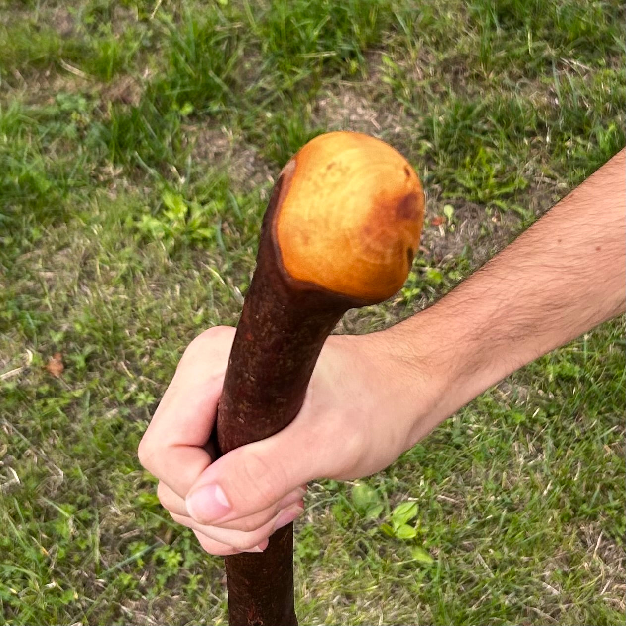 Natural Crooked Shaft Blackthorn Shillelagh – 102 cm (40.2”)