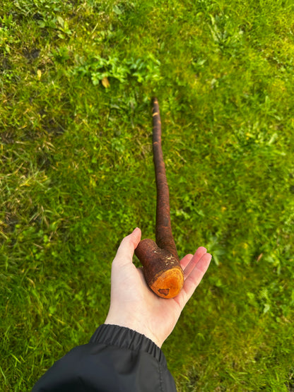 Blackthorn Walking Stick with Small Knob Handle – 98 cm (38.5”)