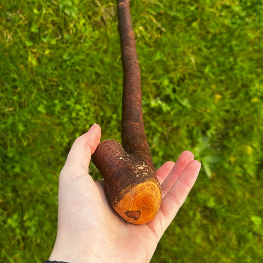 Blackthorn Walking Stick with Small Knob Handle – 98 cm (38.5”)