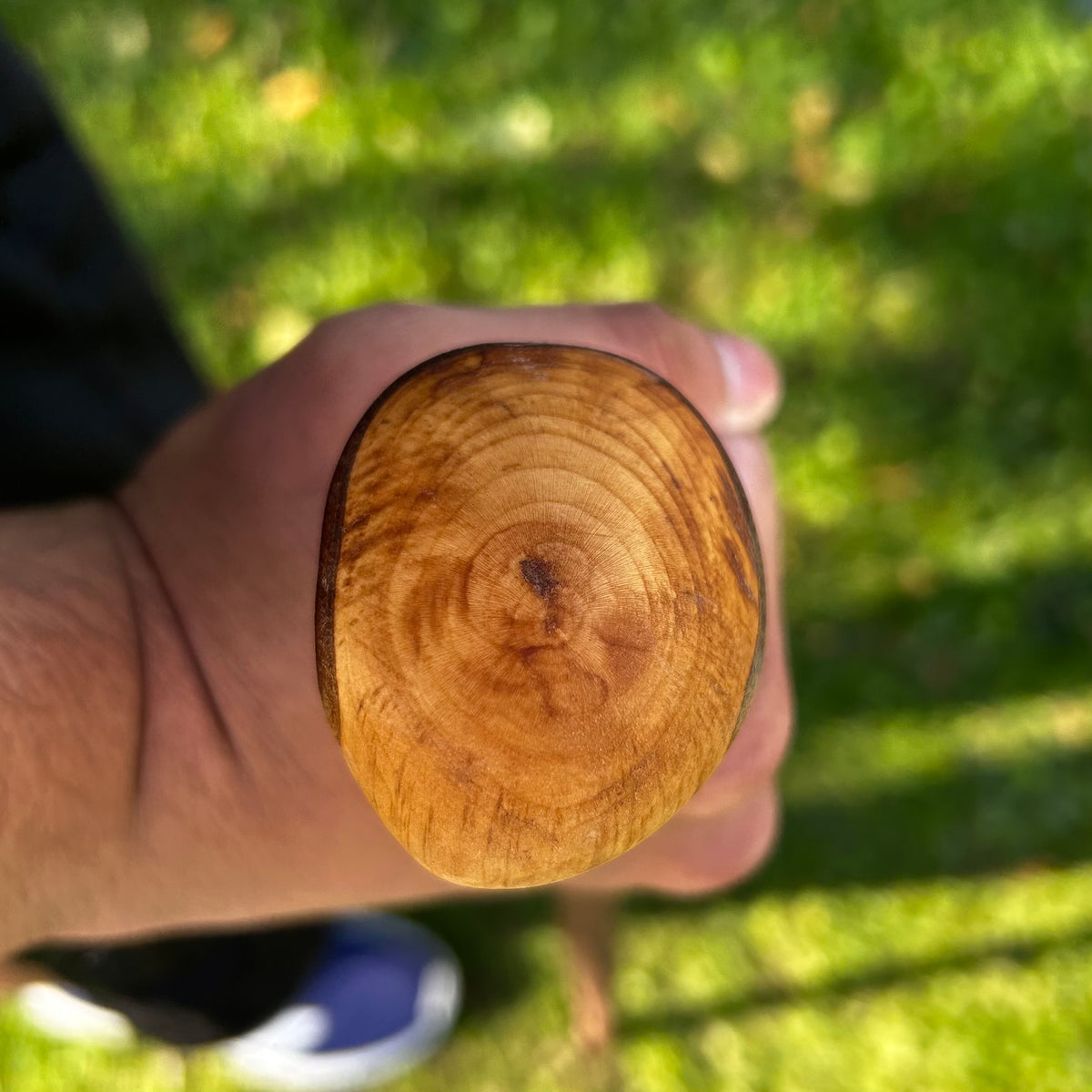 Mature Blackthorn Shillelagh Medium Knob Stick – 101 cm (39.8”)