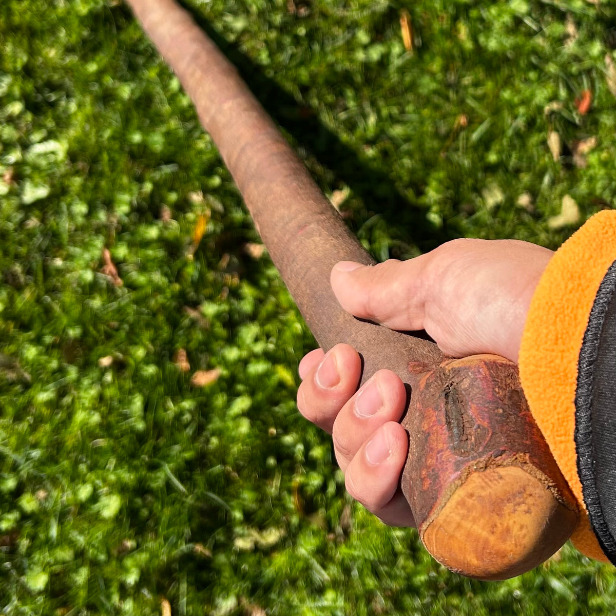 Thick Shaft Blackthorn Shillelagh Small Knob Stick