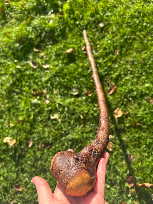 Blackthorn Walking Stick with Round Handle - 95 cm / 37.4 inches