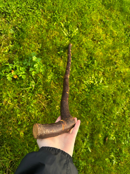 Blackthorn Walking Stick with Large L Handle – 101 cm (39.7”)