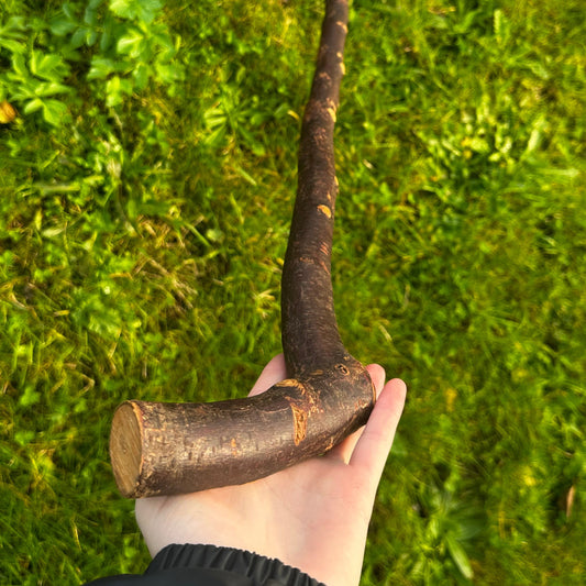 Blackthorn Walking Stick with Large L Handle – 100 cm (39.7”)