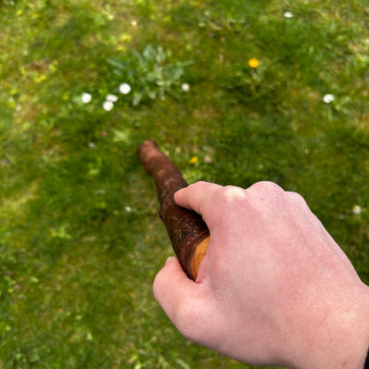 Blackthorn Shillelagh with Small Knob Head – 89 cm (35”)
