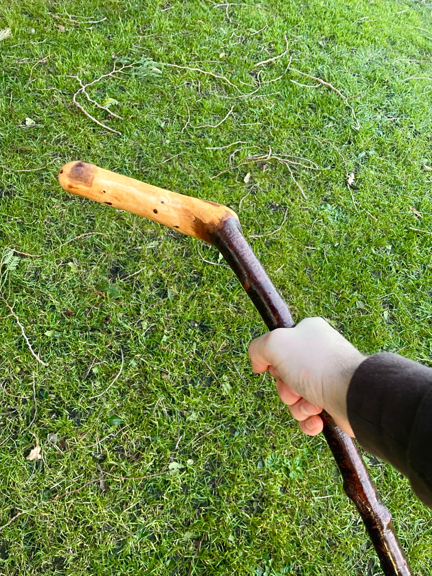 Blackthorn walking stick with sloped Handle