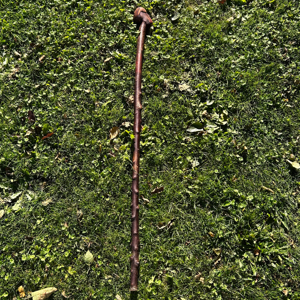 Traditional Wooden Knob Irish Walking Stick – 102 cm (40.2”)