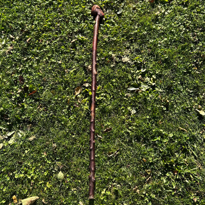 Traditional Wooden Knob Irish Walking Stick – 102 cm (40.2”)