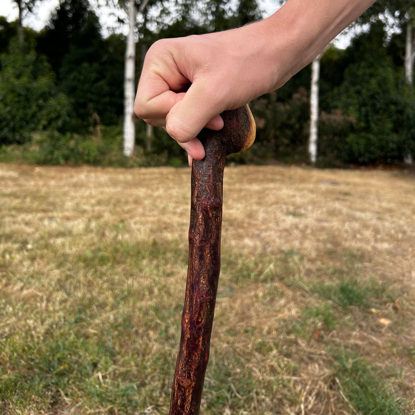 Short Chunky Blackthorn Shillelagh Knob Stick – 73 cm (28.7”)