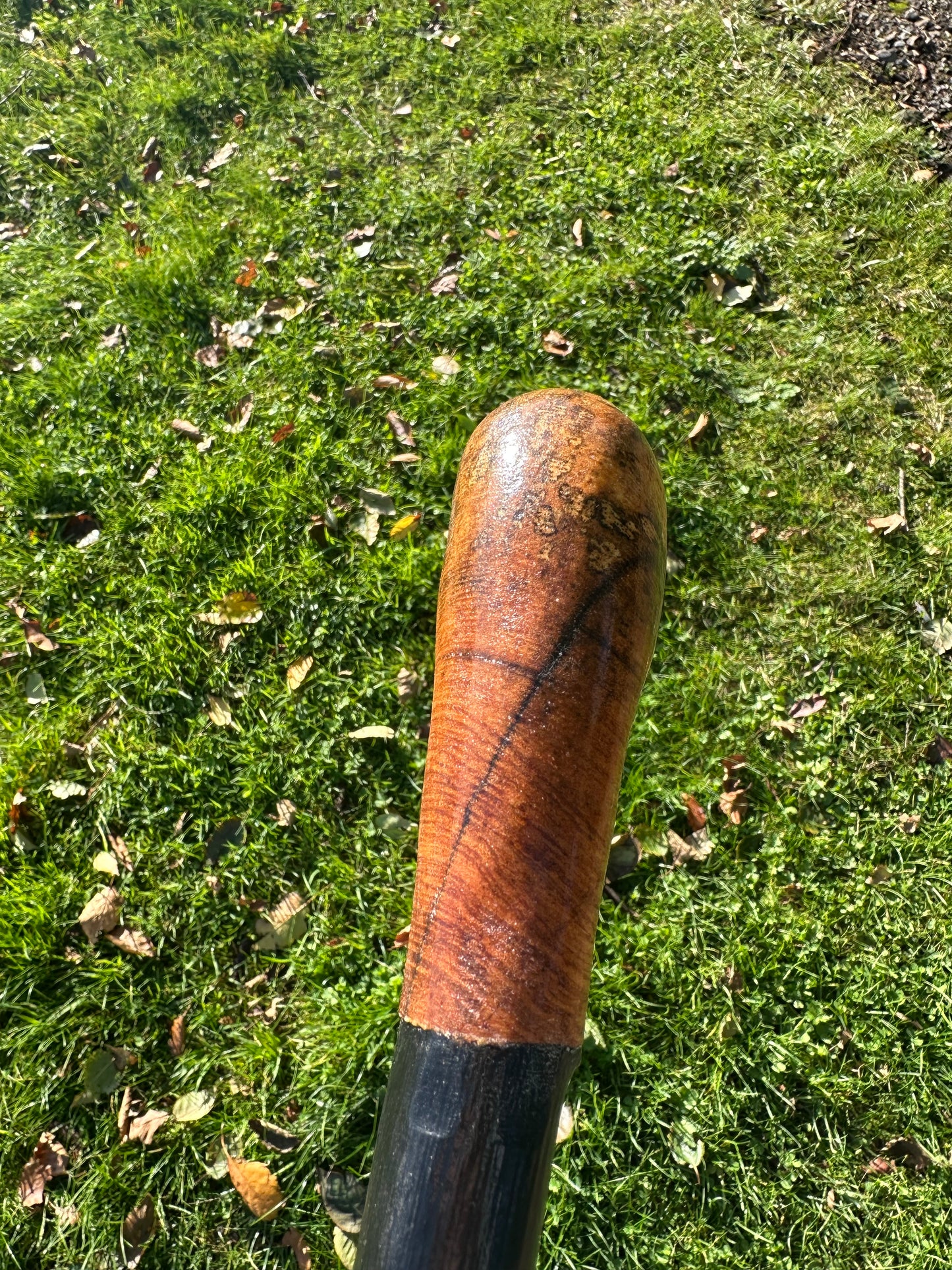 Blackthorn Walking Stick with Round Handle - 91 cm / 35.8 inches