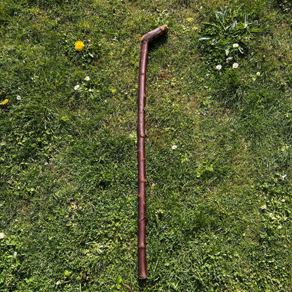 Heavy Blackthorn Shillelagh with Sloped L Handle – 102 cm (40.1”)