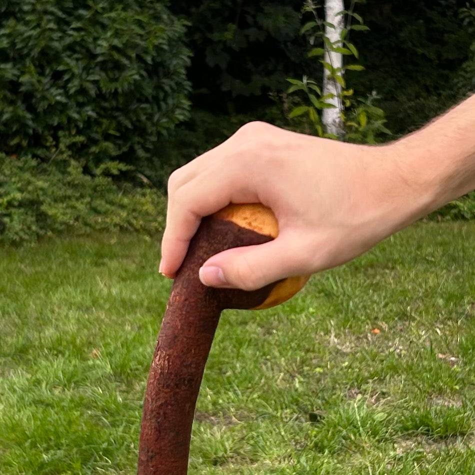 Round Knob Blackthorn Shillelagh – 103 cm (40.6”)