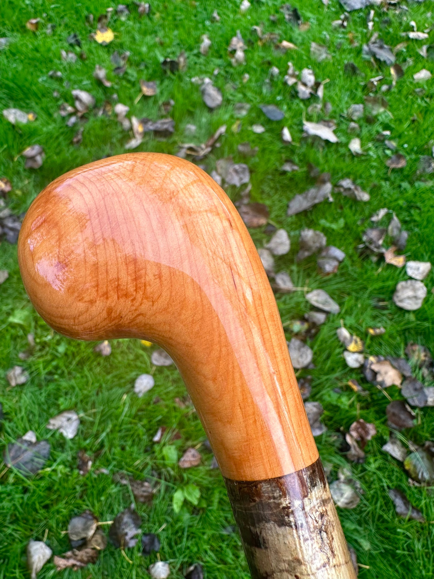 Mottled Hazel Walking Stick with Yew Head – 40”