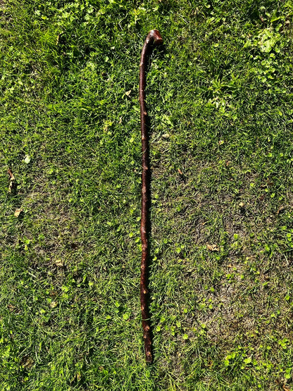 Nicky Knob Knuckle - Blackthorn Shillelagh