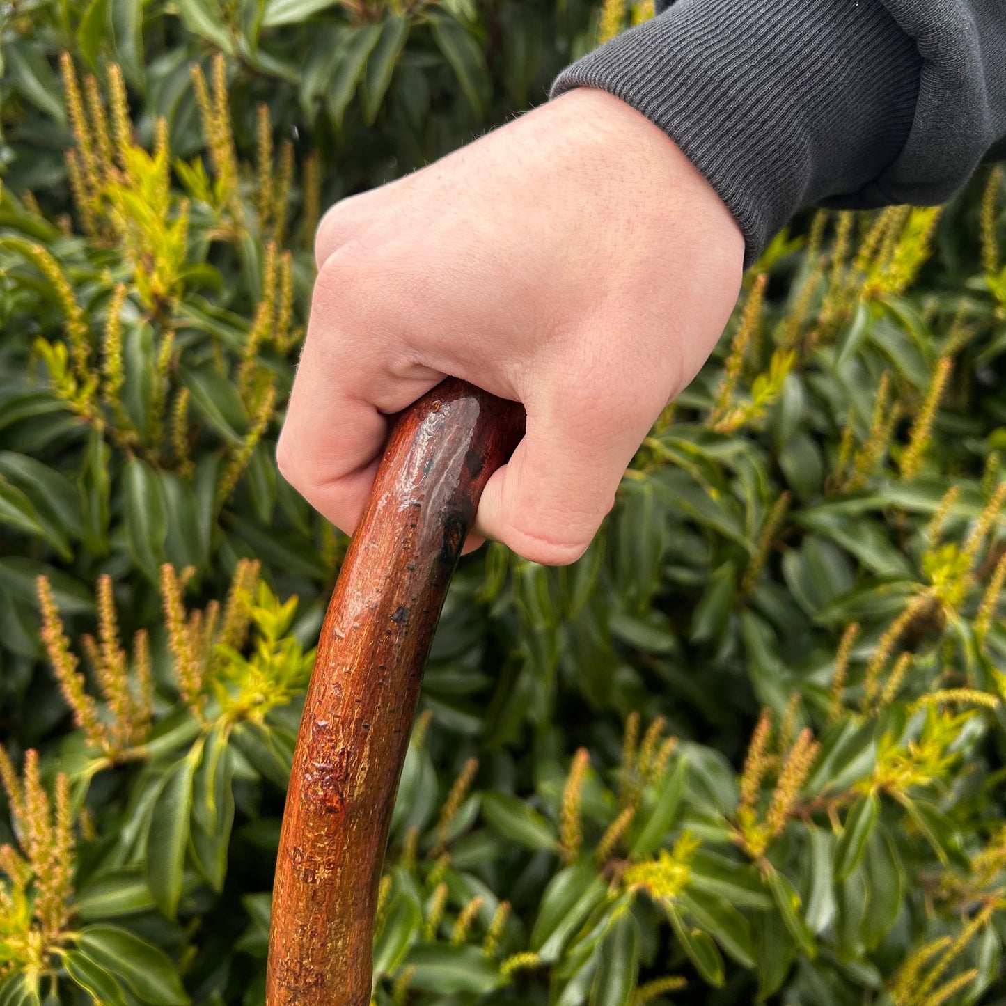 Blackthorn Shillelagh Knob Stick with Varnish Finish – 101 cm (39.7”)
