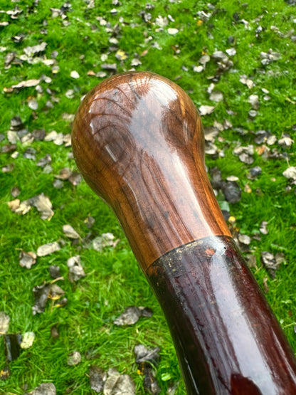 Blackthorn Stick with Spalted Beech Head – 39.5”