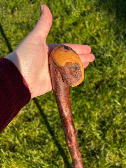 Blackthorn Shillelagh with Large Curved Handle – 100 cm (39”)