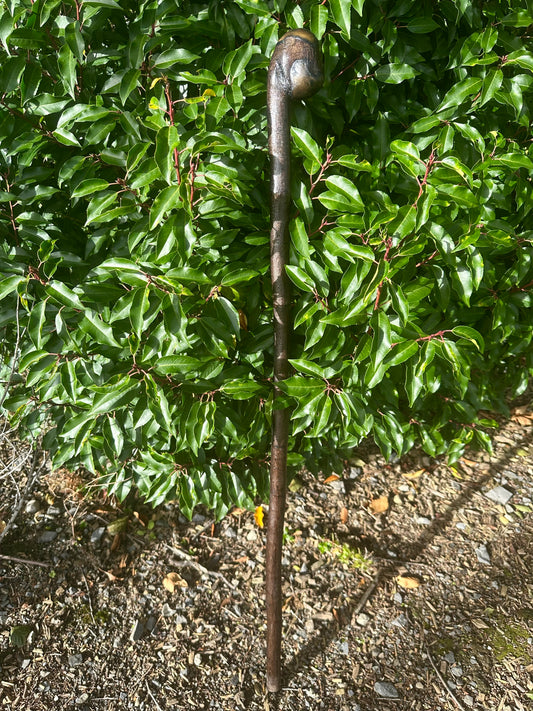 Blackthorn Walking Stick with Round Handle – Black Painted - 105 cm / 41 inches