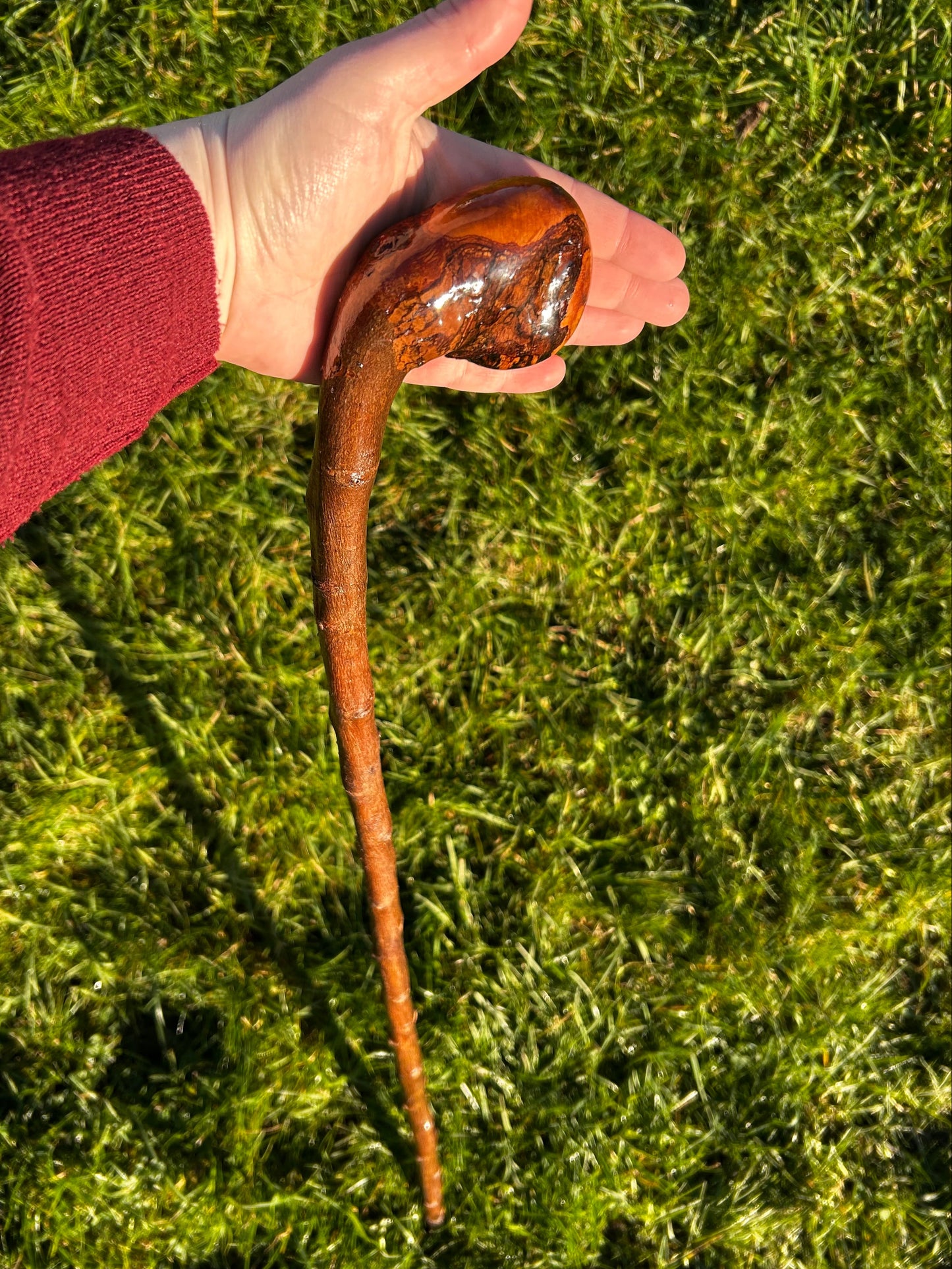 Blackthorn Knob Walking Stick – 100 cm / 39 inches