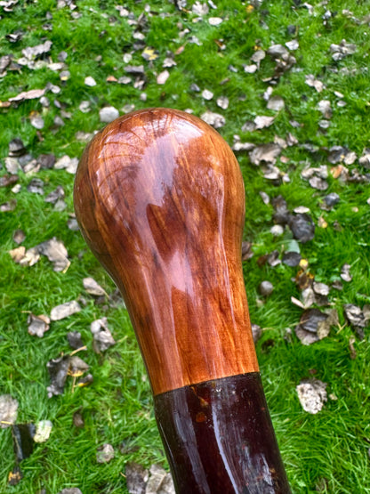 Blackthorn Stick with Spalted Beech Head – 39.5”