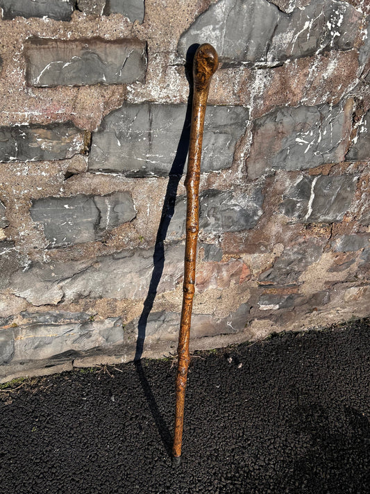 Spotted Hazel Knob Stick – 99 cm (39”)