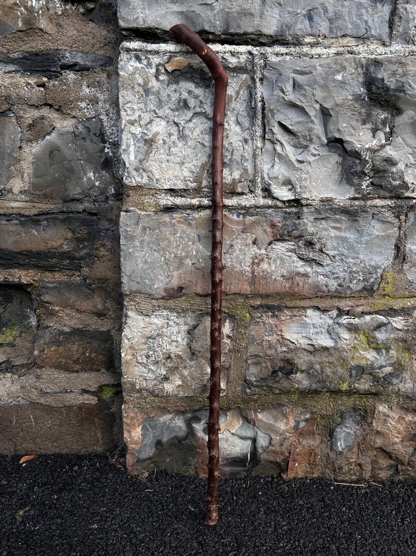 Blackthorn Walking Stick with 45° L Handle – 90 cm (35.4”)