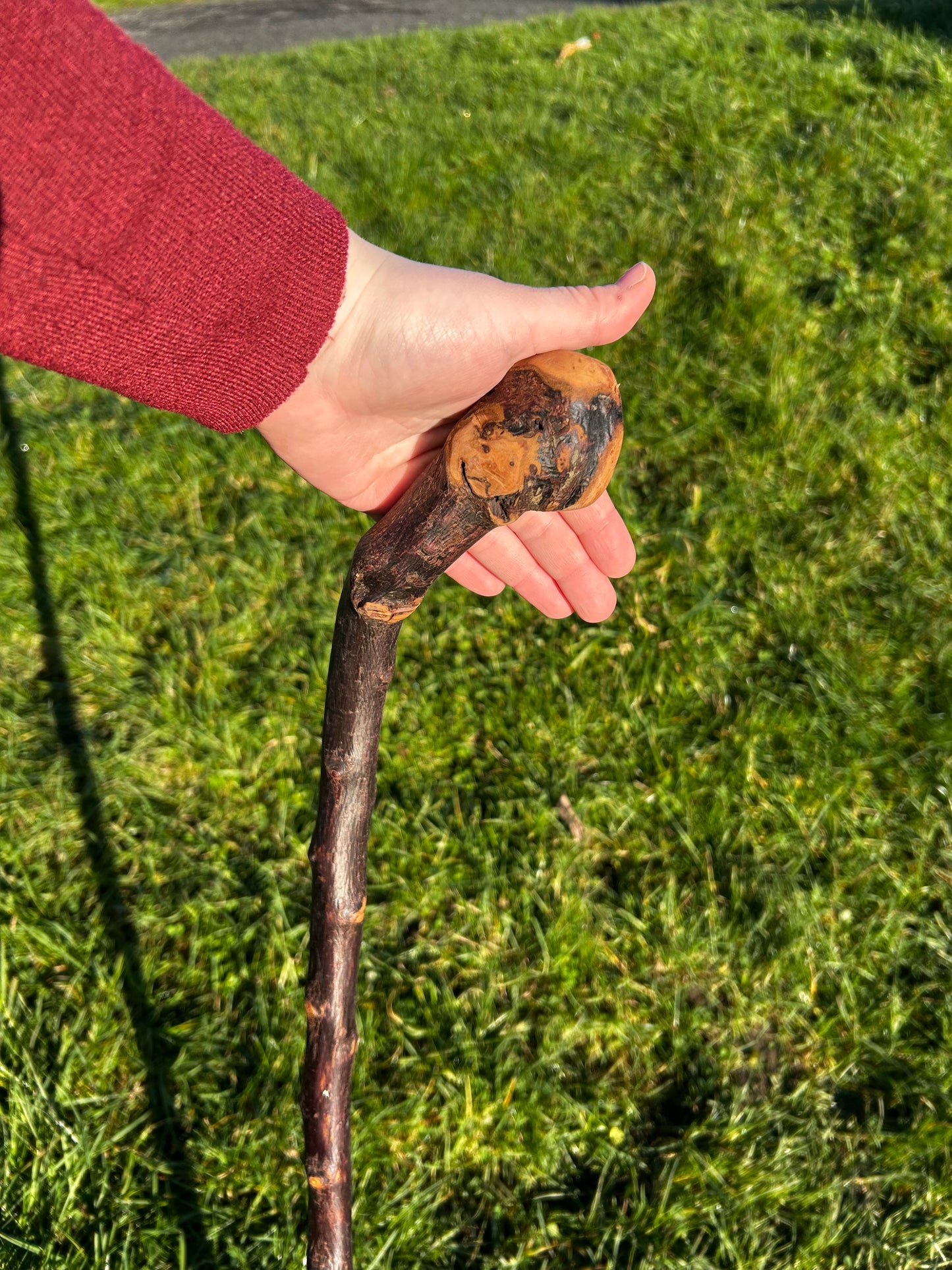 Blackthorn Shillelagh with Large Rugged Handle – 94 cm (37”)