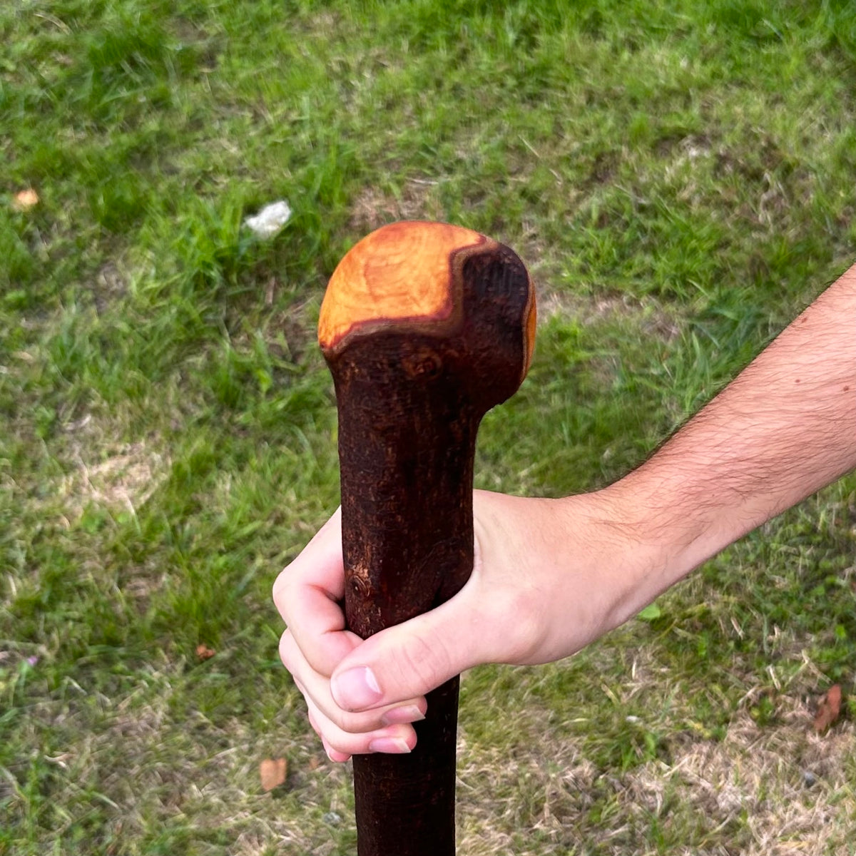 Thick Blackthorn Shillelagh Round Knob Stick – 96 cm (37.8”)