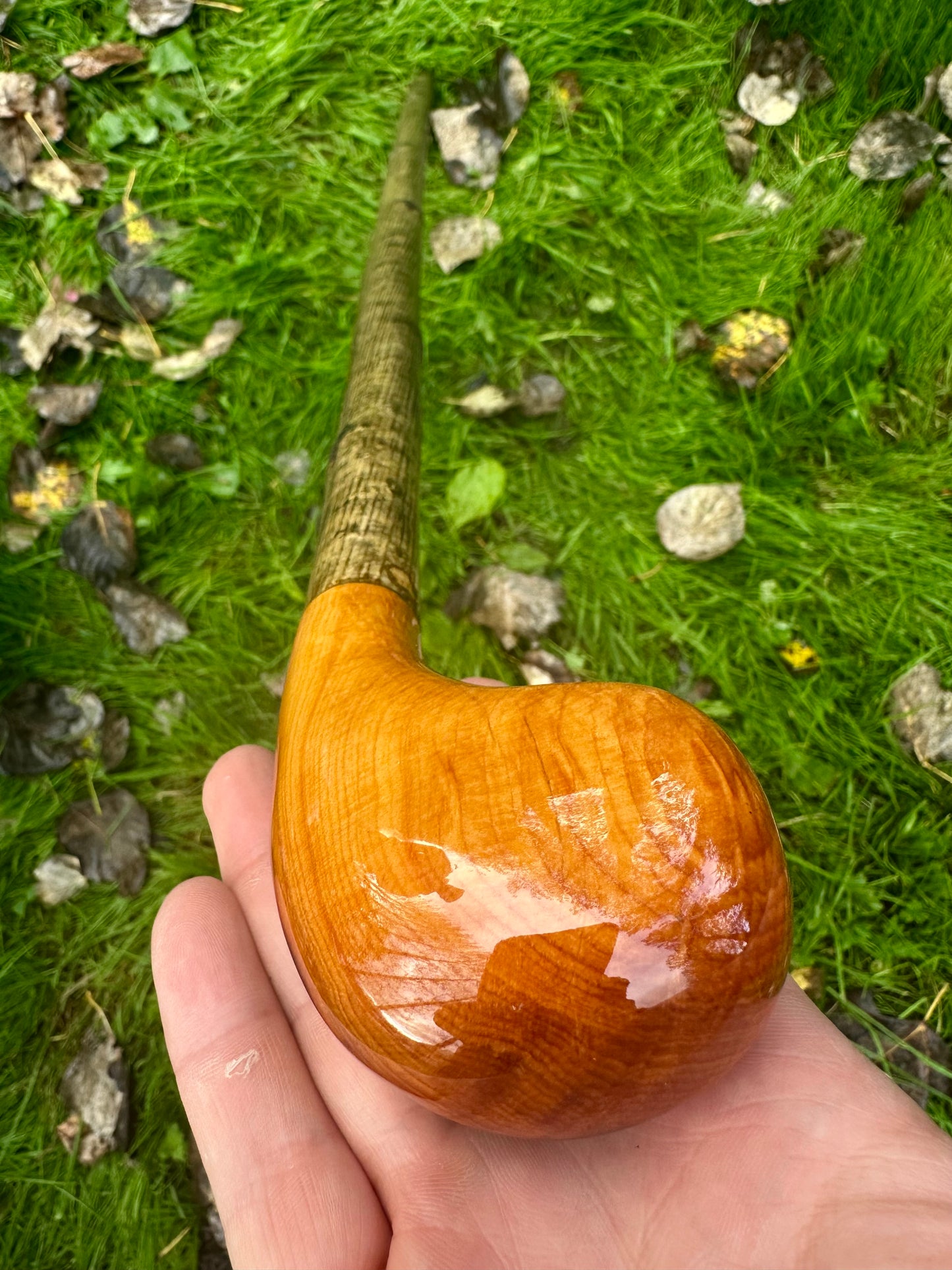 Hazel Walking Stick with Spalted Yew Head – 37.5”