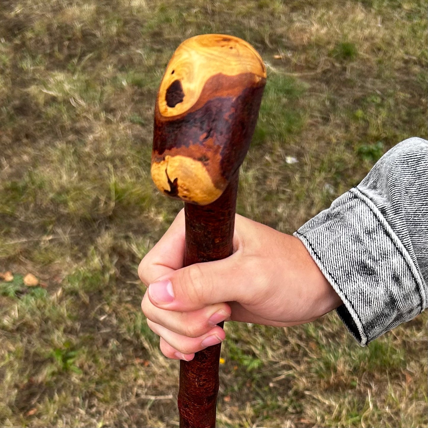 Large Knob Blackthorn Shillelagh – 100 cm (39.4”)
