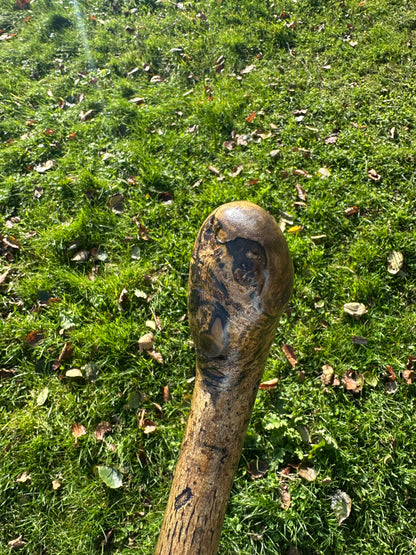 Hazel Walking Stick with Round Handle -  98 cm / 38.6 inches